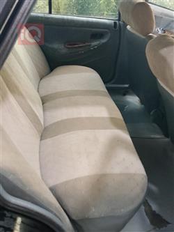 دايو برنس